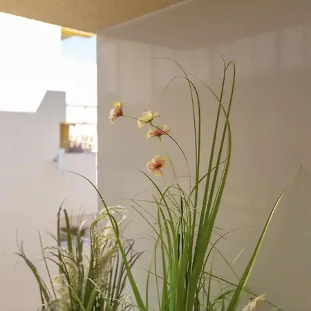 Precioso Estudio En El Centro De Апартаменты